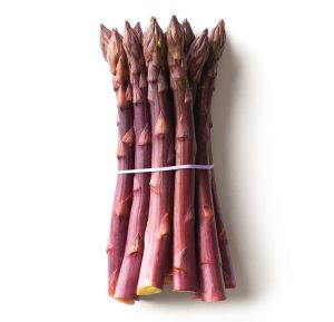 Fresh purple asparagus spears tied with a rubber band on white background.