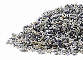 Bulk dried English lavender flowers for herbal use and aromatherapy.