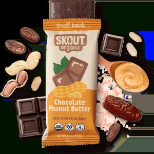 Healthy Skout Organic Protein Bar with chocolate and peanut butter flavor.