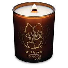 Prickly pear scented candle in a brown jar with floral design.