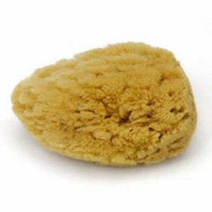 Natural Dead Sea sponge for cleansing and exfoliating skin.