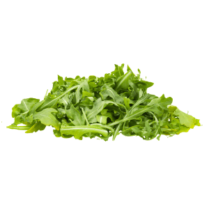 Fresh green arugula leaves, organic and healthy for salads and meals.
