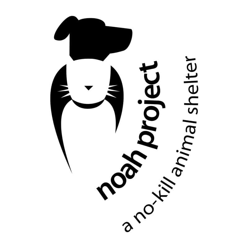 Dog rescue logo featuring a smiling dog with a bone shaped hat and the words "noah project" and "a n