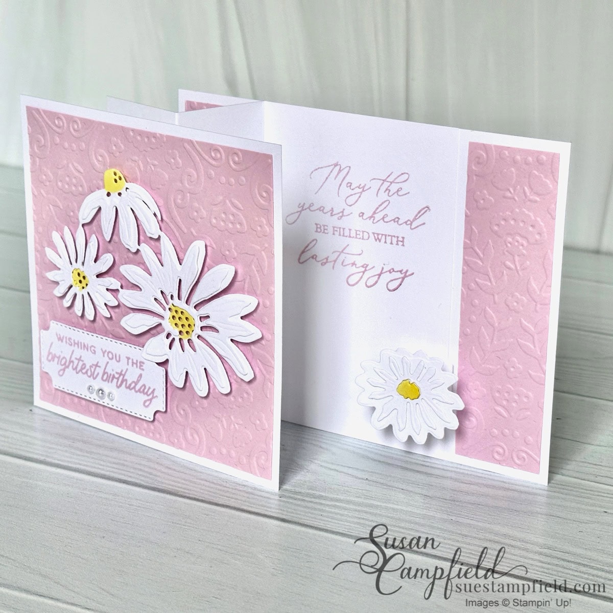 Springboard Fun Fold Cards - Suestampfield