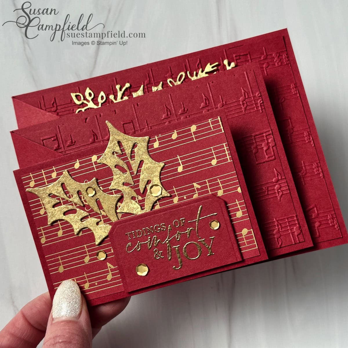 Five Amazing Cascading Pleats Fun Fold Cards Suestampfield five-amazing-cascading-pleats-fun-fold-cards-suestampfield