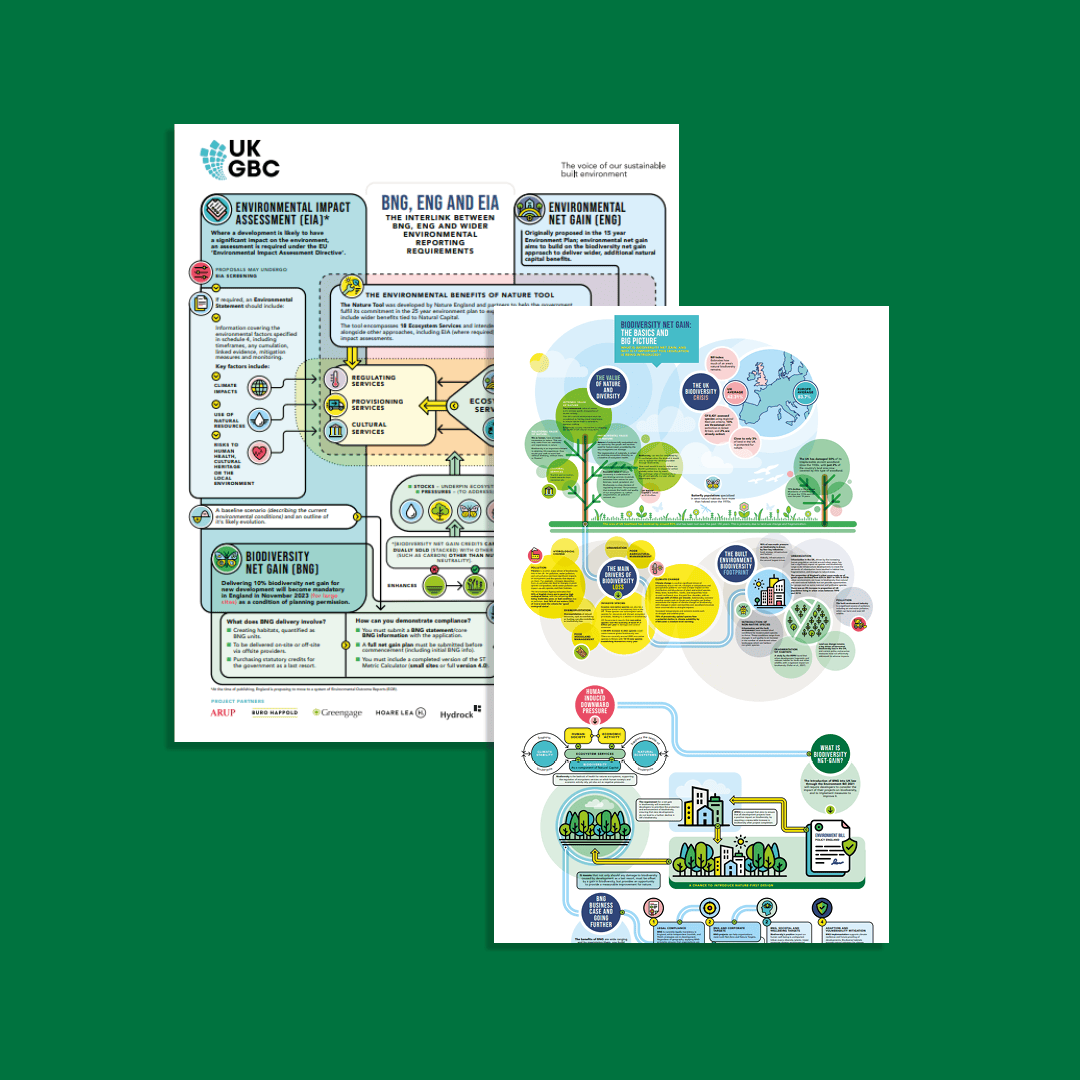 Biodiversity Net Gain Infographics UKGBC