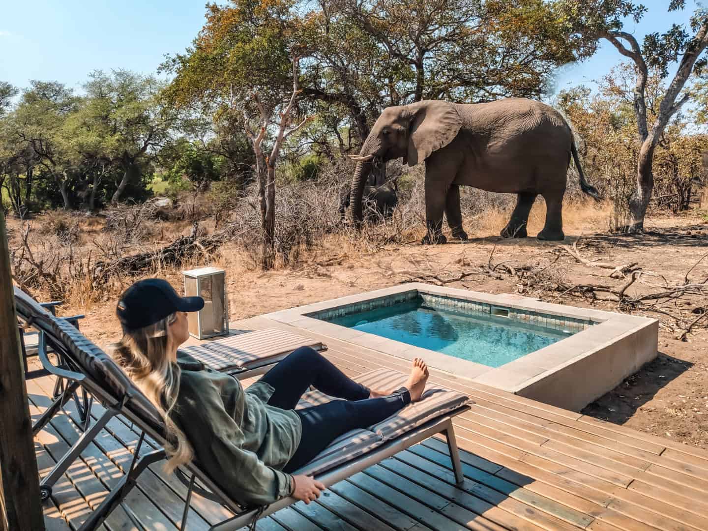 Guia completo sobre o Kruger Park na África do Sul - dicas, preços