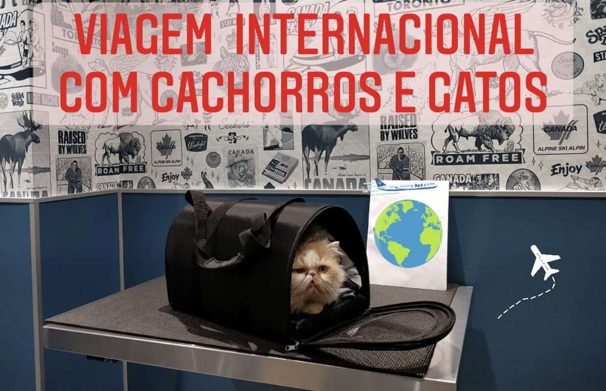 viagem Internacional com animais de estimação