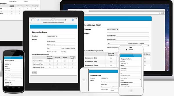 responsive wordpress forms
