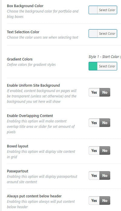 bridge customization options