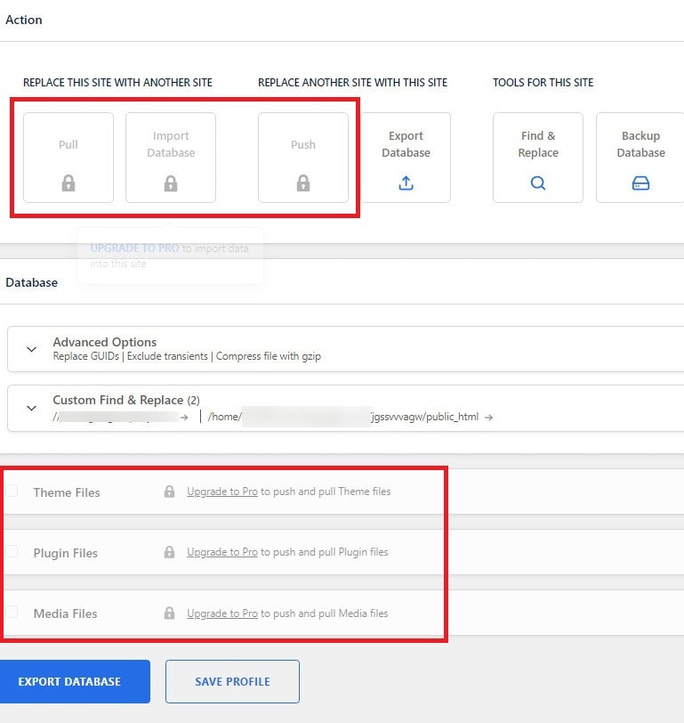 WP Migrate DB free vs WP Migrate DB Pro.