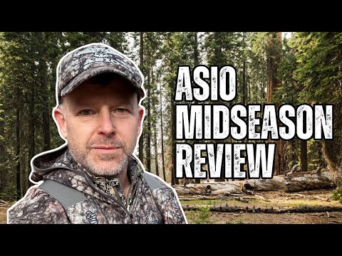 Asio Gear Midseason Review | SEE Why I've Become a Huge Fan!