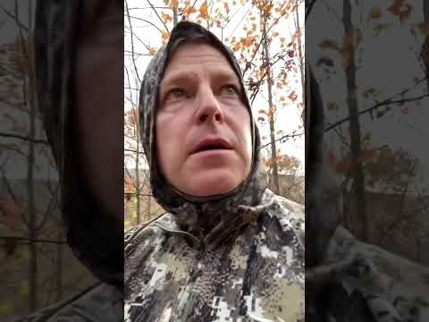 Hunting Thermals in the Mountains #thermals #hunting #shorts