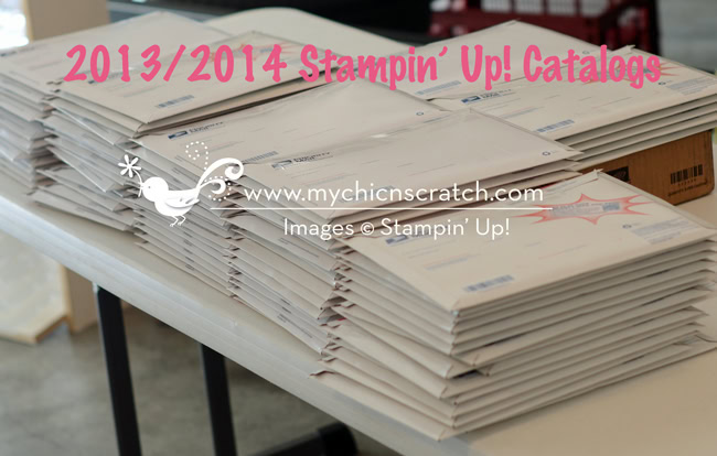 20132014stampinupcatalog