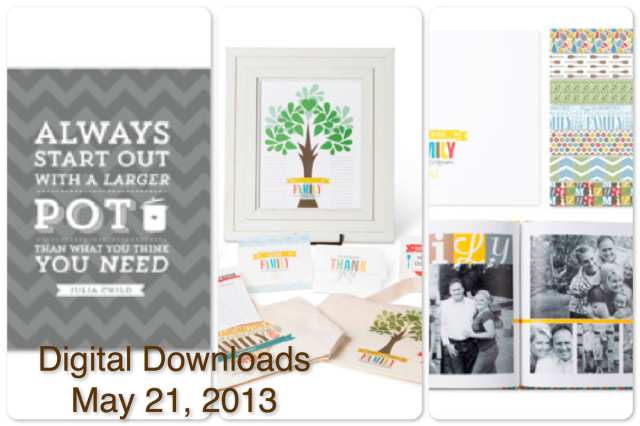 Digital Downloads052113
