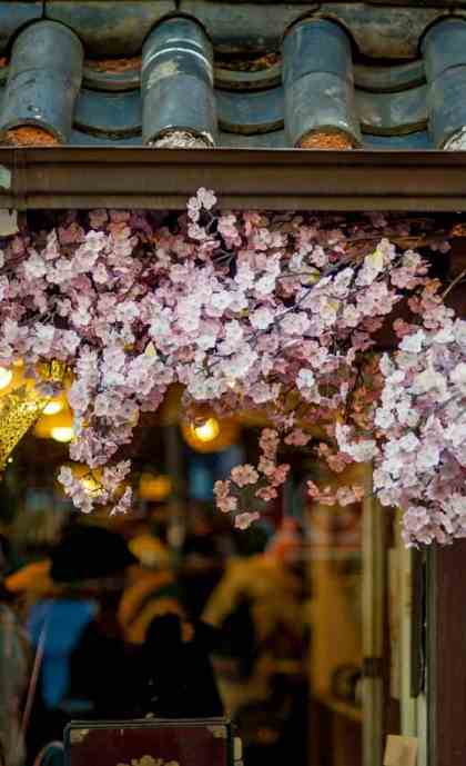 pink petaled flowers on roof shingles