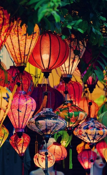 a bunch of lanterns that are hanging from a tree