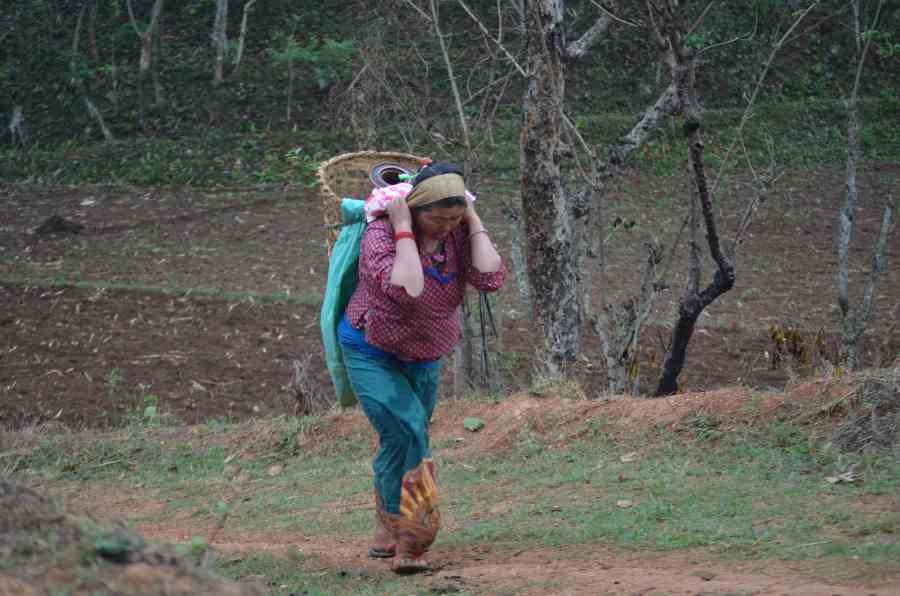 Hum Kamari walks up a hill carrying a container of water on her back in a basket. 