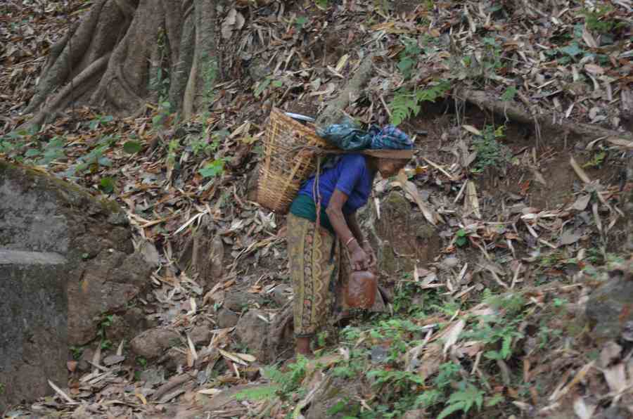 A woman collecting water and bringing it back to the village