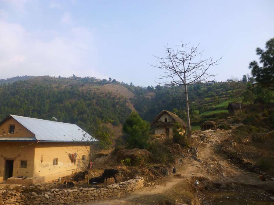 Village of Dafala