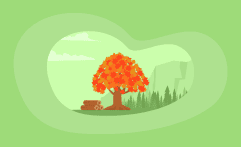 How Sustainable Is Maple Wood? Here Are the Facts