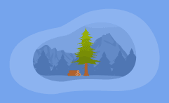 How Sustainable Is Pine Wood? Here Are the Facts