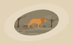 10 Best Charities for Protecting Lions (Complete 2025 List)