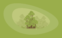 9 Best Charities for Protecting the Amazon Rainforest (Complete 2025 List)
