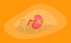 9 Best Charities That Fight Kidney Disease (Complete 2025 List)