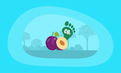 What Is the Carbon Footprint of Plums? A Life-Cycle Analysis