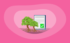 10 Best Blue Carbon Offsets (Complete 2025 List)
