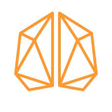 MIND Research Institute - logo Logo for MIND Research Institute