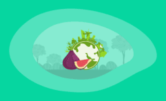 The Environmental Impact of Figs: From Farm to Table