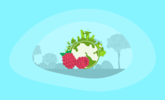 The Environmental Impact of Raspberries: From Farm to Table