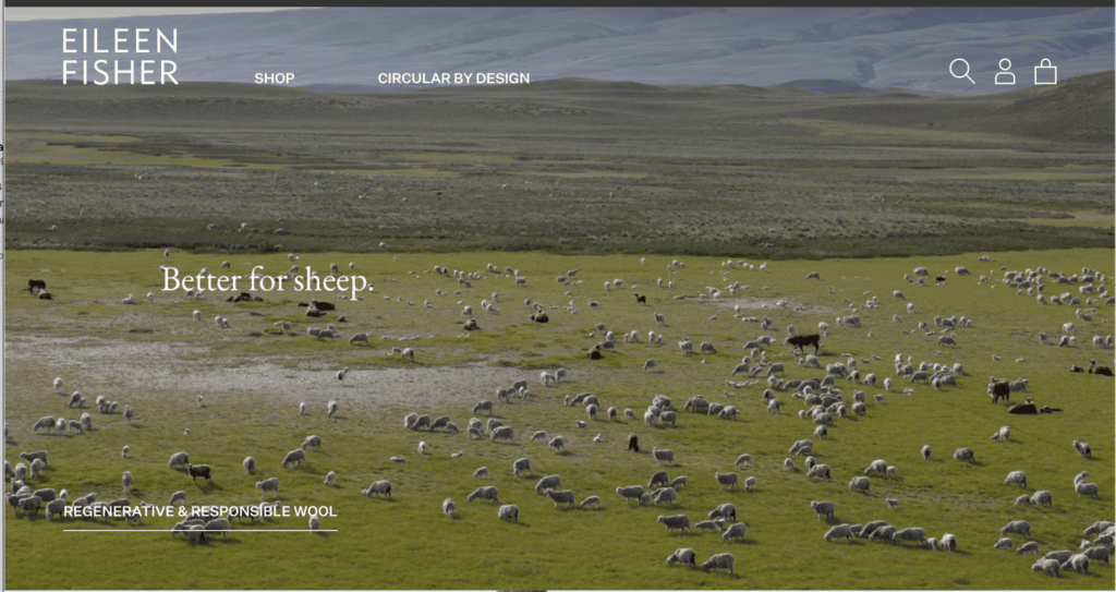 Screenshot of the Eileen front page