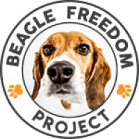 Logo for Beagle Freedom Project
