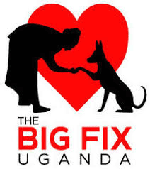 The Big Fix Uganda - logo Logo for The Big Fix Uganda