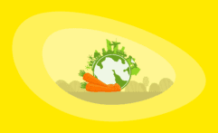 The Environmental Impact of Carrots: From Farm to Table