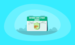 National Save a Tiger Month 2025: All You Need to Know