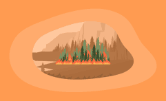 8 Best Charities for Wildfire Relief (Complete 2025 List)