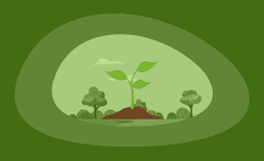 11 Best Charities for Planting Trees (Complete 2025 List)