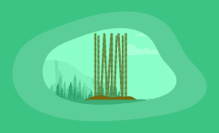 How Sustainable Is Bamboo “Wood”? Here Are the Facts