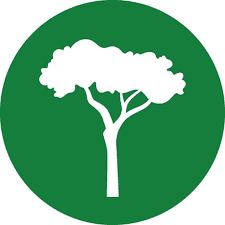 International Tree Foundation - logo Logo for International Tree Foundation
