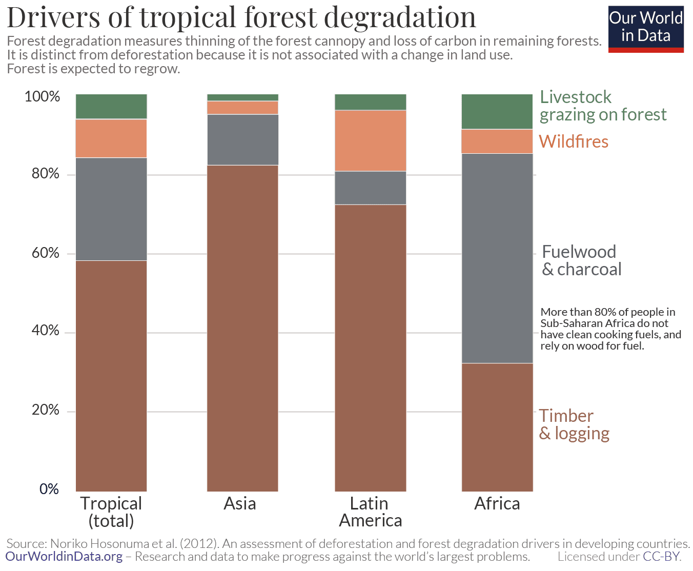 10 Most Sustainable Types of Wood? A LifeCycle Analysis Impactful Ninja