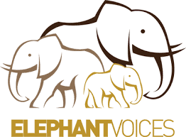 Elephant Voices - logo Logo for Elephant Voices
