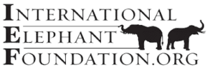 International Elephant Foundation - logo Logo for International Elephant Foundation