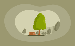 How Sustainable Is Ash Wood? Here Are the Facts