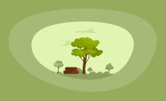 How Sustainable Is Padauk Wood? Here Are the Facts