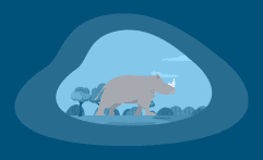 9 Best Charities for Protecting Rhinos (Complete 2025 List)