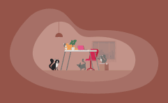 9 Best Charities for Domestic Cats (Complete 2026 List)